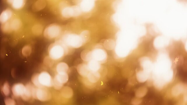 黄色やオレンジ色に輝く秋の紅葉の木々と、木漏れ日の玉ボケ背景 舞い散る紅葉の落ち葉