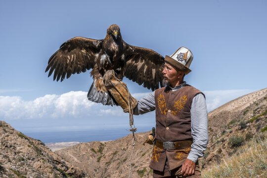 Traditional Kyrgyz eagle hunter with eagle in the mountains, hunting, eagle spreads its wings, near Bokonbayevo, Issyk Kul region, Kyrgyzstan