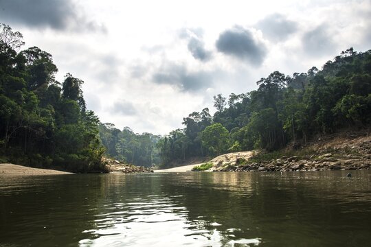 Tembeling River, rainforest, jungle, Kuala Tahan, Taman Negara, Malaysia