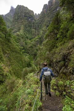Hikers on a narrow path along a levada, forested mountains and ravines, Levada do Caldeir&atilde;o Verde, Parque Florestal das Queimadas, Madeira, Portugal