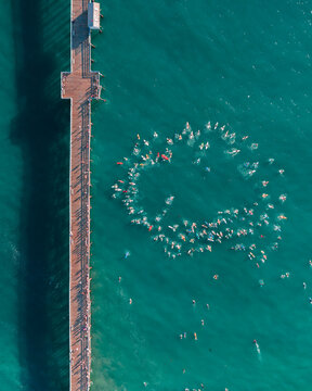 Aerial view of surfers forming a large circle in the turquoise ocean water next to a long wooden pier in Orange County, California, United States.