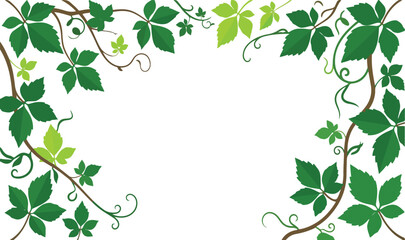 Obraz premium Green ivy leaves vine frame border background vector illustration