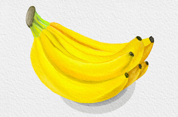 The image shows a bunch of ripe yellow bananas painted in a watercolor style. The bananas are attached to a green stem with a brown top, and their tips are dark in color © Veronica