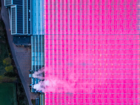 Aerial view of a large greenhouse complex with pink LED lights, steam rising from vents, and adjacent buildings with solar panels in Kessel, Limburg, Netherlands.