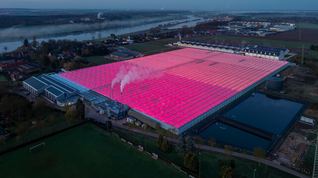 Aerial view of a large greenhouse complex illuminated with pink LED lights, featuring steam rising from chimneys, situated near a river and residential area in Kessel, Limburg, Netherlands.