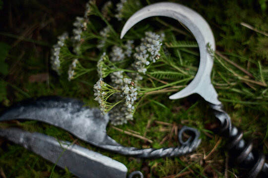 Silver crescent and white wildflowers dominate a shallow focus close view of three metal blades on green moss in a horizontal woodland still life with softly blurred lower knives