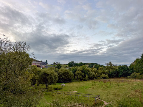 Tranquil Rural Landscape with White Horse Grazing in Green Pasture, Reuland, Belgium