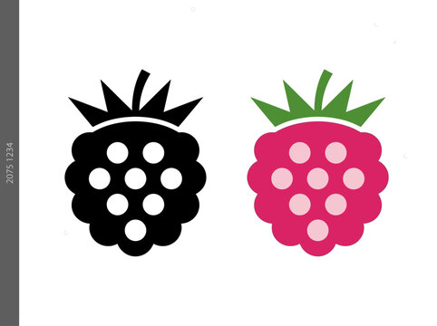 Raspberry and Blackberry Icon Set - Minimalist Flat Vector Illustration of Sweet Summer Berries