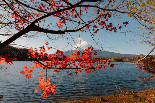 Peaceful kawaguchiko lake autumn japan autumn scenery brings serene feeling with vibrant red foliage framing majestic mountain peak
