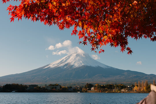 Peaceful landscape featuring mount fuji at kawaguchiko lake during autumn season in japan with vibrant maple foliage showing autumn joy