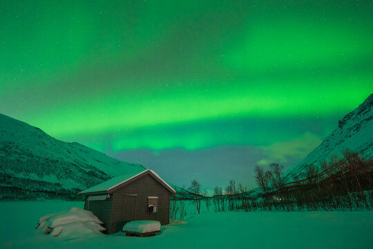 View of a small wooden cabin surrounded by deep snow under a vibrant green aurora borealis in the night sky with snow-covered mountains and bare trees in the background, Norway.