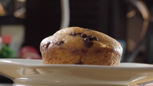 Fresh chocolate chip muffin resting on white ceramic plate, showing golden brown baked surface, dark chocolate chips and soft texture in closeup