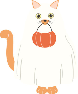Cat dressed as ghost for Halloween party 