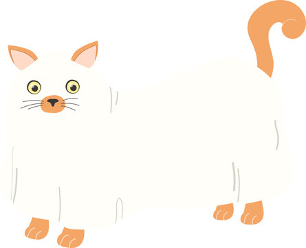 Cat dressed as ghost for Halloween party 