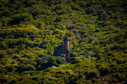 View of the historic Rhodes Memorial nestled within the lush, dense greenery of the hillside in Cape Town, Western Cape, South Africa.