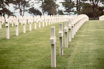 Obraz premium Rows of White Crosses at Normandy American Cemetery, France