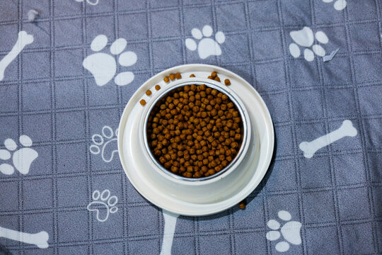 Overhead view of dry pet food in metal bowl on white plate, placed on blue patterned cloth with paw print and bone design