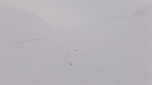 Three dog sled teams travel across a wide misty snowfield in Svalbard, appearing as small distant shapes against the flat white landscape, aerial push forward