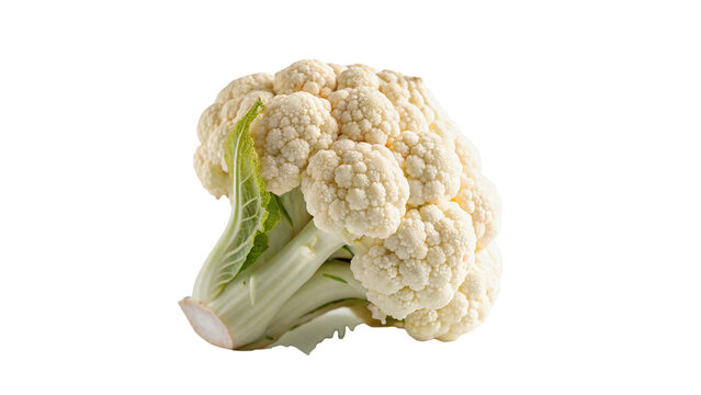 Whole fresh organic white cauliflower cabbage vegetable isolated on transparent background.