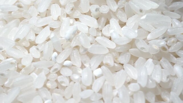 Close-Up of Raw White Rice Grains