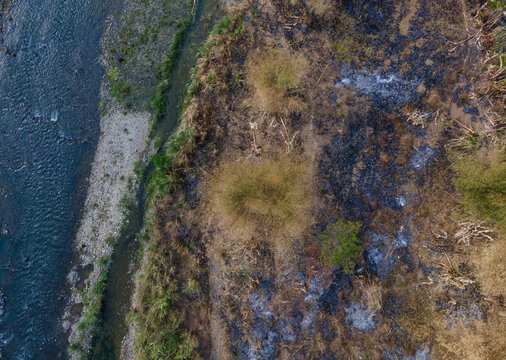Bamboo Trees Growing Near a River with Rice Husk Ash Burn Residue in a Rural Landscape. The Scene Highlights Tropical Vegetation, Riverbanks, and Traditional Agricultural Activity Viewed from Above.