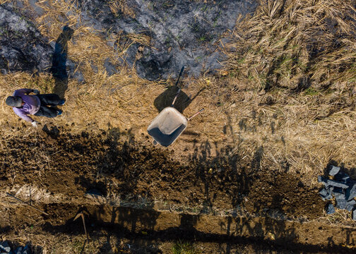 Aerial View of a Farmer with a Traditional Farm Cart in an After-Harvest Rice Field Covered with Rice Straw Ash. Farming Activity, Agricultural Labor, and Post-Harvest Field Management from Above.