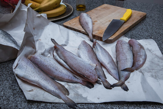 Raw Fish, croakers, Prepared for Cooking on Kitchen Countertop