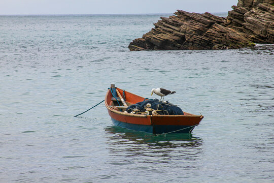 View of a small wooden fishing boat with a seagull perched on fishing nets floating in calm coastal waters near rocky cliffs in Brazil.