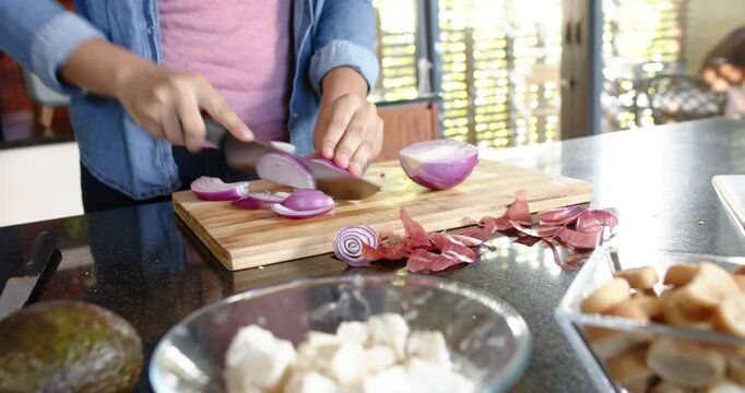 Lifestyle videos Indoor of people doing activities at home, Chopping red onions on cutting board, pe