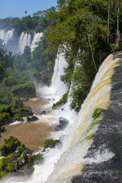 View of the powerful Iguazu Falls cascading over lush green cliffs into the river below, surrounded by dense tropical rainforest in Foz do Iguacu, Parana, Brazil.