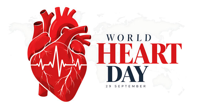 World heart day banner with a realistic human heart illustration and an electrocardiogram line on a white background, world heart day 2026, heart day 2026, heart day
