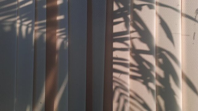 Palm leaf shadow dancing on indoor wall surface. Sunlight tropical foliage silhouette moving slowly. Aesthetic stock video 4K for background, overlay, quotes, motivation, wedding, minimal, calm, peace
