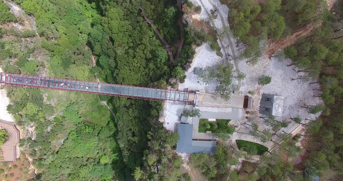 Aerial View of Tourists on a Glass Suspension Bridge in a Forested Valley