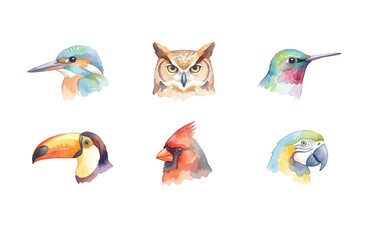 Fototapeta premium Watercolor bird head icons set, colorful avian portraits illustration on white background