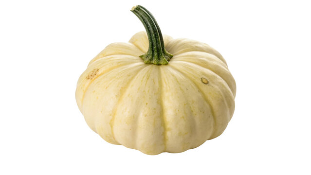 Whole fresh white pattypan squash pumpkin vegetable isolated on transparent background.