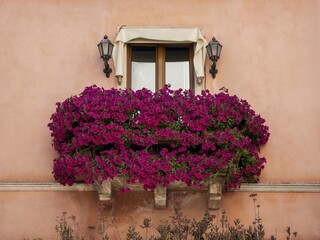 Picturesque Mediterranean travel photograph of a floral pink balcony in Taormina, ideal for Sicilian travel publications, romantic postcards, and tourism media. © Dimitrios