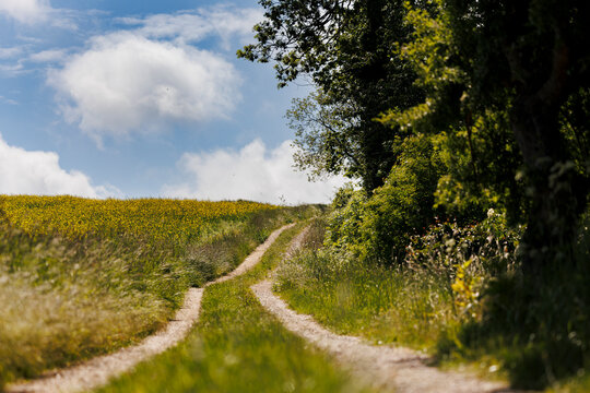 dirt road in the countryside