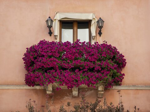 Picturesque Mediterranean travel photograph of a floral pink balcony in Taormina, ideal for Sicilian travel publications, romantic postcards, and tourism media.