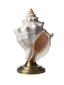 Sacred conch shell on a brass stand, isolated on transparent background