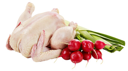 Isolated whole raw chicken with fresh red radishes and green leeks for cooking © Saoirse