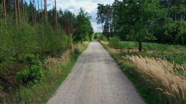 Leśna droga utwardzona żwirem. Po obu stronach drogi rosną drzewa liściaste i sosny. Wideo przedstawia przelot dronem nad drogą na niskiej wysokości.