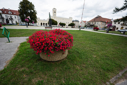 Red petunia planter in the Market Square of Radom, Poland with historic buildings and a monument in the background