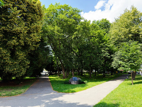 Green city park in Rzeszow, Poland with forked paved paths under tree canopy, benches and summer sunlight creating a peaceful urban walking scene