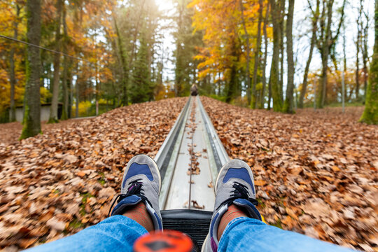 POV ride on alpine coaster through colorful autumn forest, sneakers visible above metal track and fallen leaves. Motion blur, woodland scenery and downhill leisure create adventurous seasonal mood