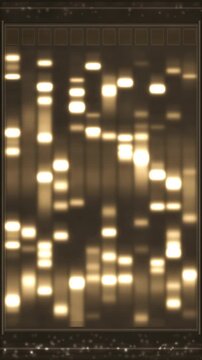 Gel electrophoresis lanes with DNA bands migrating and separating by size under blue transillumination in soft autorad tones vertical 9:16
