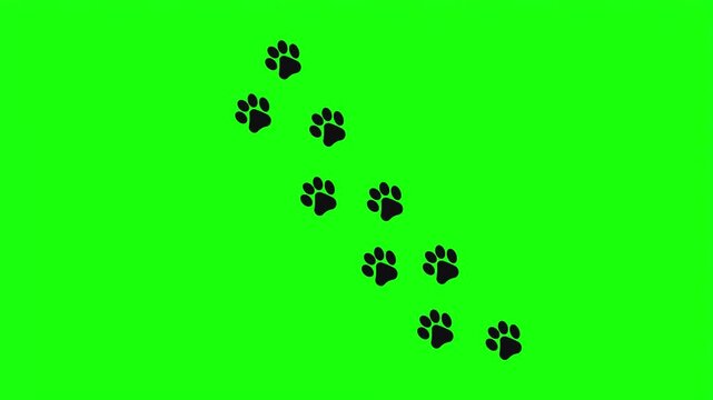 Black animal paw print trail isolated on bright green screen background for video editing.