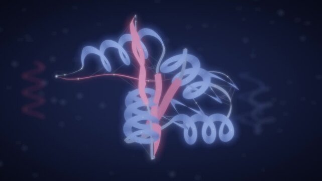Protein folding ribbon backbone chain twisting into a compact 3D structure seamless loop in bright indigo tones