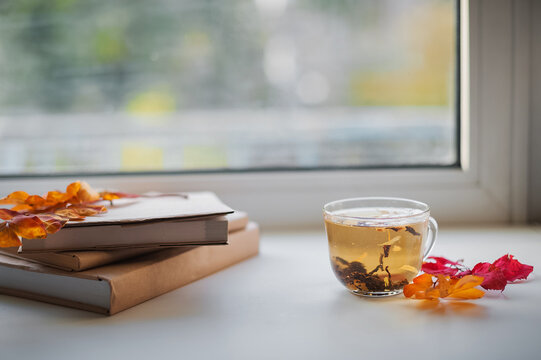 Cozy autumn still life with hot tea, books and fall leaves by rainy window