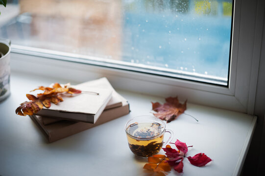 Cozy autumn still life with hot tea, books and fall leaves by rainy window