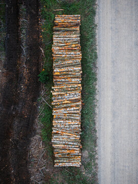 Aerial view of a large stack of logs representing forestry infrastructure situated between a dirt road and a dark cleared strip of land in Rinda, Ventspils novads, Latvia.